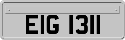 EIG1311