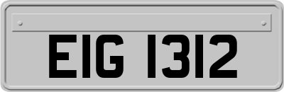 EIG1312