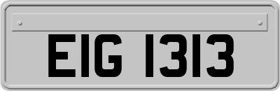 EIG1313