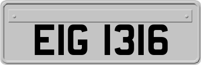 EIG1316