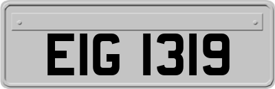 EIG1319