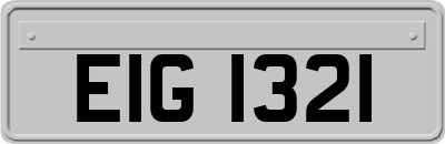 EIG1321