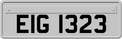 EIG1323
