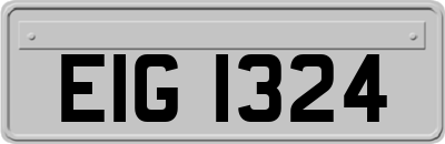EIG1324