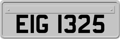 EIG1325