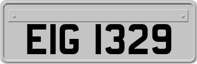 EIG1329