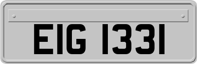 EIG1331