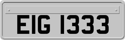 EIG1333
