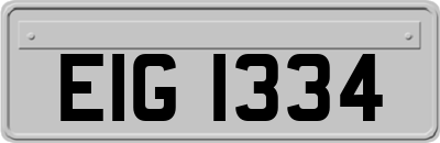 EIG1334