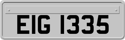 EIG1335