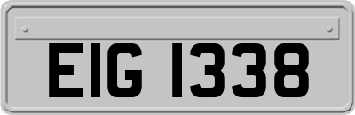 EIG1338