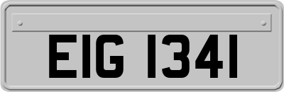 EIG1341