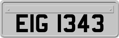 EIG1343
