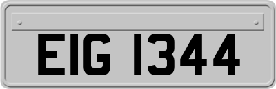 EIG1344