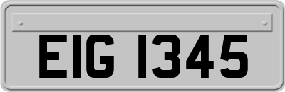 EIG1345