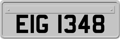 EIG1348