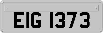 EIG1373