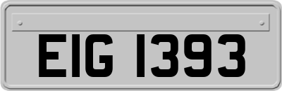 EIG1393