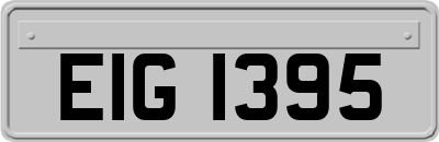 EIG1395