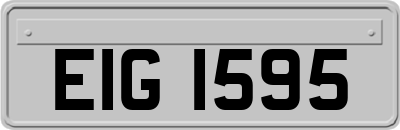 EIG1595