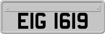 EIG1619