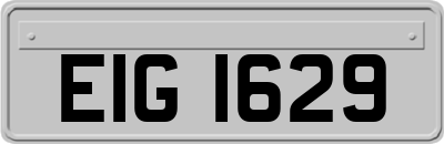 EIG1629