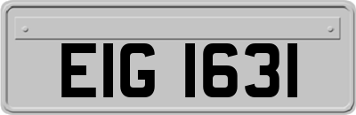 EIG1631
