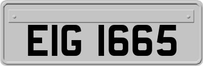 EIG1665