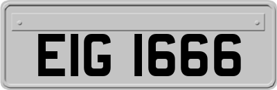 EIG1666