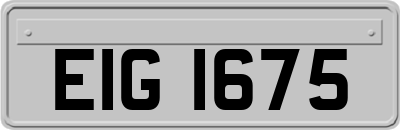 EIG1675