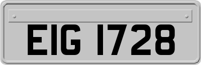 EIG1728
