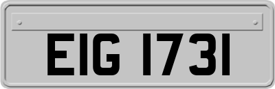 EIG1731