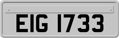 EIG1733