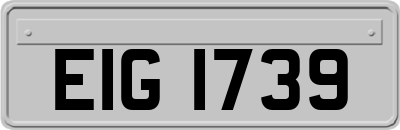 EIG1739