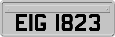 EIG1823