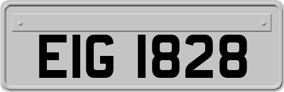 EIG1828