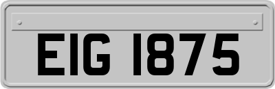 EIG1875