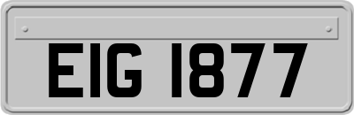 EIG1877