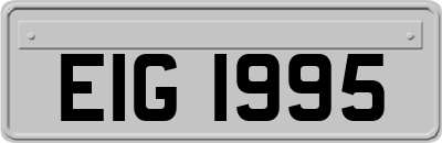 EIG1995