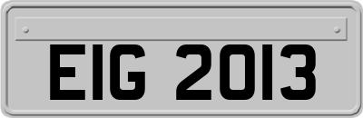 EIG2013