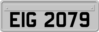 EIG2079