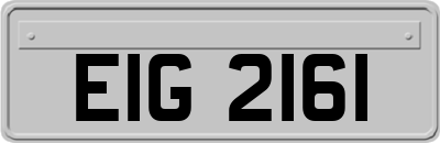 EIG2161