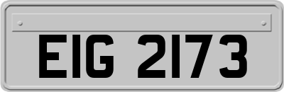 EIG2173