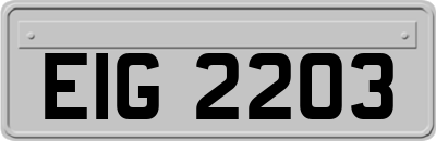 EIG2203