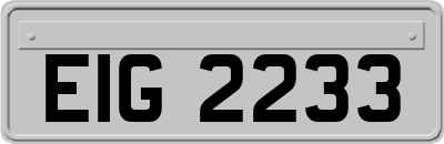 EIG2233