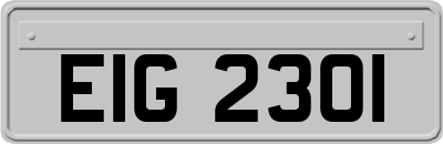EIG2301