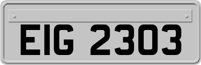 EIG2303