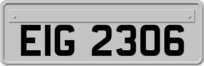 EIG2306