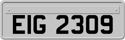 EIG2309