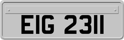 EIG2311